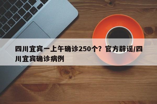 四川宜宾一上午确诊250个?官方辟谣/四川宜宾确诊病例