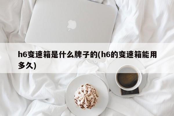 h6变速箱是什么牌子的(h6的变速箱能用多久)