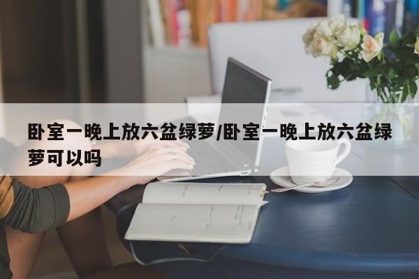 卧室一晚上放六盆绿萝/卧室一晚上放六盆绿萝可以吗