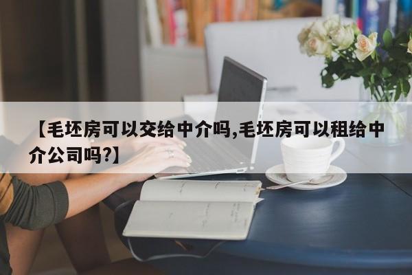 【毛坯房可以交给中介吗,毛坯房可以租给中介公司吗?】