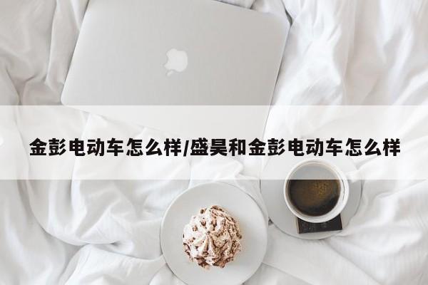 金彭电动车怎么样/盛昊和金彭电动车怎么样